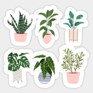 Indoor Potted Plants For Pot Head Sticker